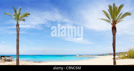 ELS Pujols Formentera Strand mit türkisfarbenem Wasser und Palmen in Balearen Stockfoto