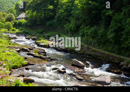 Der Fluss Lyn (Ost) auf dem Weg zur Watersmeet in der Nähe von Lynmouth, North Devon, England, UK Stockfoto