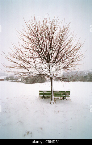 Winterlandschaft im südlichen Niedersachsen Stockfoto