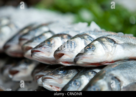 Frischer Fisch zum Verkauf in Borough Market. Stockfoto