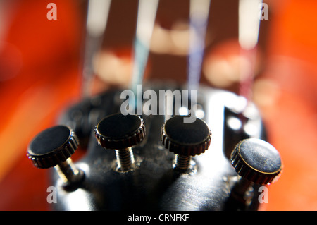 Alte Geige Federn close-up Stockfoto