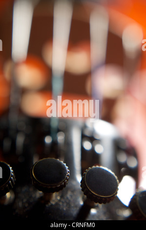 Alte Geige Federn close-up Stockfoto