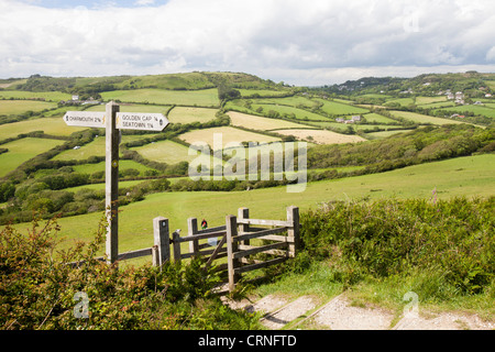 Ein Teil der South West Coast Path in der Nähe von Charmouth in Dorset, England, mit typischen Dorset, die hügelige Landschaft. Stockfoto