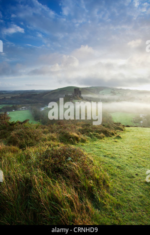 Corfe Castle umgeben von niedrig liegenden Nebel bei Sonnenaufgang. Stockfoto