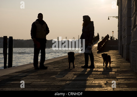 Haushund, Frau Besitzer nehmen zwei Hunde Spaziergang, im Gespräch mit Mann am Ufer Silhouette bei Sonnenuntergang, Venedig, Veneto, Italien, Stockfoto
