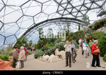 Besucher im Inneren des tropischen Bioms im Eden Project. Stockfoto