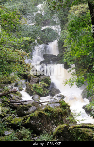 Lodore fällt in der Nähe von Grange Ende Derwentwater im Lake District National Park. Stockfoto