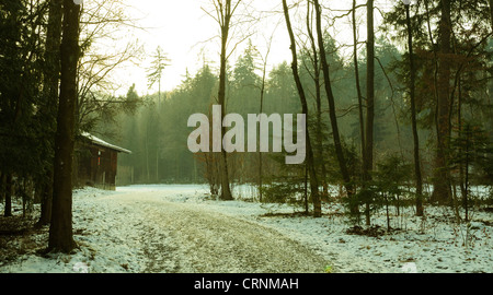 Wald Weg und Hütte im Winter. Stockfoto