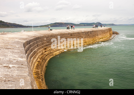 Die Cob bei Lyme Regis auf der World Heritage Site der Jurassic Coast, Dorset, UK. Stockfoto