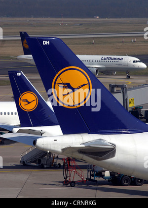 Lufthansa-Flugzeuge am Flughafen Düsseldorf Stockfoto