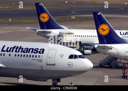 Lufthansa-Flugzeuge am Flughafen Düsseldorf Stockfoto