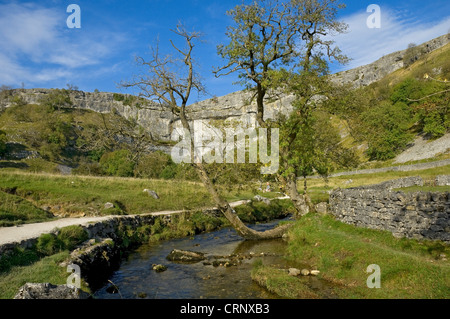 Wanderweg neben Malham Beck mit Malham Cove, gekrümmt ein spektakulären Kalkstein-Bildung in den Yorkshire Dales National Park, Stockfoto