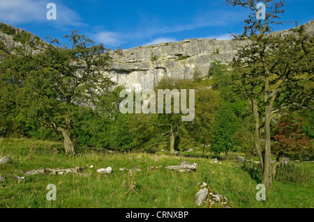 Malham Cove, gebogene ein spektakulären Kalkstein-Bildung in den Yorkshire Dales National Park. Stockfoto