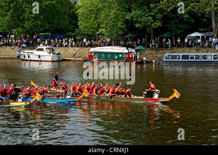 Boote im Wettbewerb mit dem Drachenbootrennen auf dem Fluss Ouse in York. Stockfoto