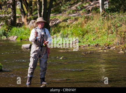 Fliegenfischen Sie auf Fluss Dove, Dovedale, Peak District in Derbyshire, England, UK Stockfoto