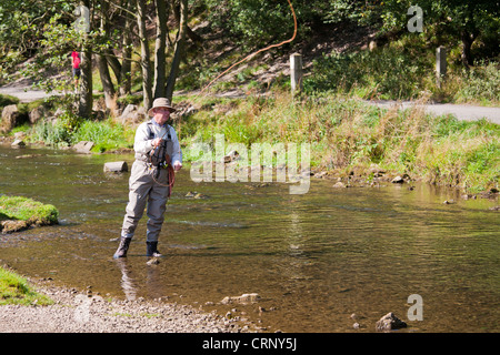 Fliegenfischen Sie auf Fluss Dove, Dovedale, Peak District in Derbyshire, England, UK Stockfoto