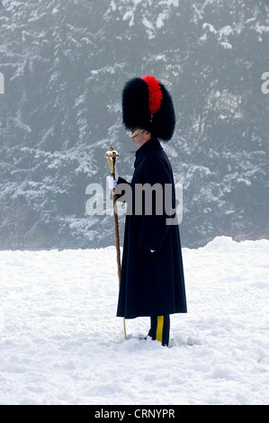 Mitglied der schweren Kavallerie und Cambrai Band an die Königin Diamond Jubilee royal Salute in Museum Gärten. Stockfoto