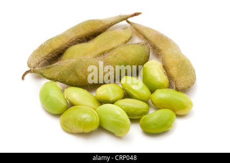 Edamame Bohnen auf weißem Hintergrund Stockfoto