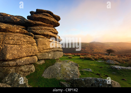 Licht des frühen Morgens auf den Granit von Combestone Tor im Dartmoor National Park. Stockfoto