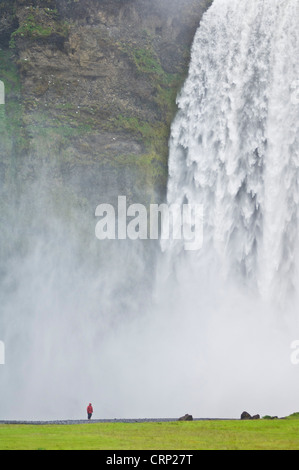 Touristen in einer roten Jacke stand vor der mächtigen Schwall von Skogafoss Wasserfall, Skogar Süd-Island-EU-Europa Stockfoto