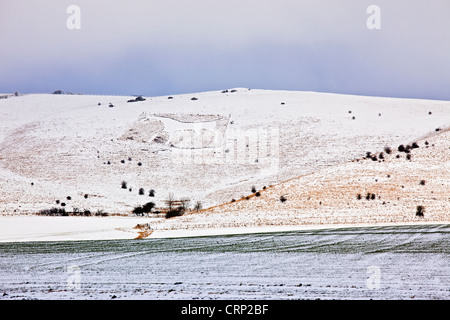 Schnee bedeckt das Alton Barnes White Horse am Milk Hill Pewsey Vale blicken. Stockfoto