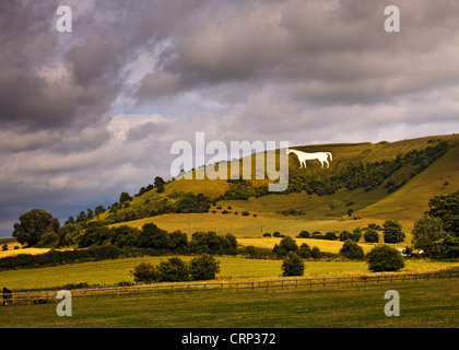 Gewitterhimmel über das Westbury White Horse, das älteste der Wiltshire die weißen Pferde, am Rande der Bratton Downs. Stockfoto