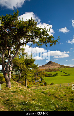 Nähe Topping, einem markanten Hügel die Form Vergleiche mit dem Matterhorn in der Schweiz geführt hat. Stockfoto