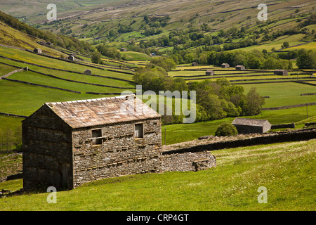 Stein Scheunen in der Nähe von Thwaite im oberen Swaledale in den Yorkshire Dales National Park. Stockfoto