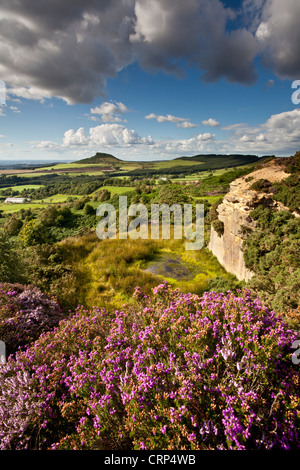 Blick vom Gribdale in North York Moors National Park in Richtung Nähe Topping. Stockfoto