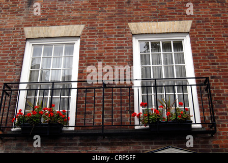 Blumen auf der Fensterbank Stockfoto