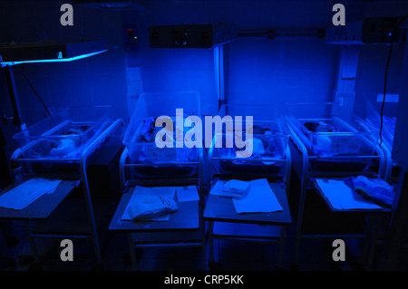 Vier Frühgeborenen lag in einem Kindergarten. Die blaue Beleuchtung soll das Risiko von Gelbsucht und helfen mit dem Wachstum des Babys. Stockfoto