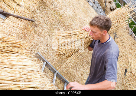 Eine alte Scheune wird strohgedeckten in Dorset Dorf von Symondsbury, Dorset UK Stockfoto