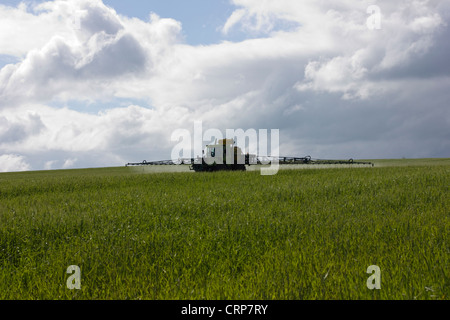 Traktor Besprühen von Pflanzen in einem Feld Stockfoto