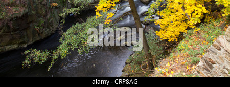 Bode Fluss Bode Gorge Nature Reserve, Thale, Harz, Sachsen-Anhalt, Deutschland, Europa Stockfoto