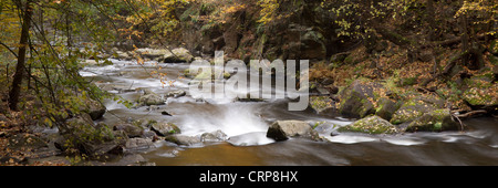 Bode Fluss Bode Gorge Nature Reserve, Thale, Harz, Sachsen-Anhalt, Deutschland, Europa Stockfoto