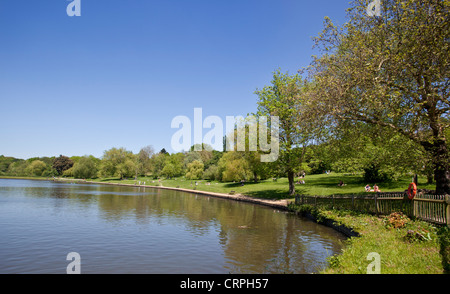 Einem der Teiche in Hampstead Heath, London, England, UK. Stockfoto