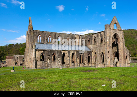 Die Ruinen von Tintern Abbey, ein Zisterzienser-Abtei von Walter de Clare, Lord von Chepstow im 12. Jahrhundert gegründet. Stockfoto