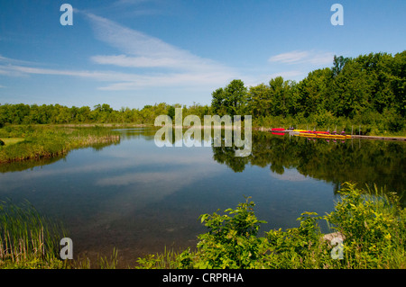 Der Kagawong Fluss kurz bevor Brautschleier fällt auf Manitoulin Island. Stockfoto