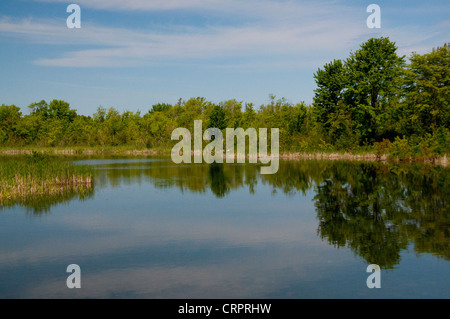 Der Kagawong Fluss kurz bevor Brautschleier fällt auf Manitoulin Island. Stockfoto