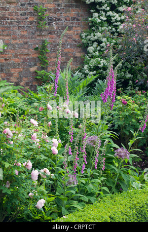 Hübsche krautige Sommerblumengrenze in einem englischen Garten, England, Großbritannien Stockfoto