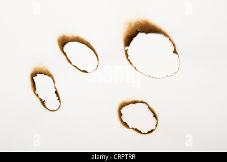 vier verbrannten Löchern in einem Papier Stockfoto