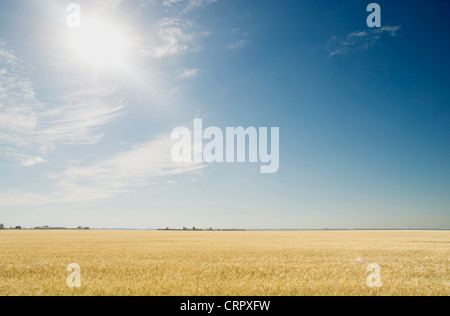 strahlende Sonne am blauen Himmel Stockfoto
