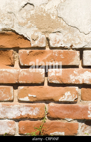 Nahaufnahme einer gemauerten Wand große als Hintergrund Stockfoto