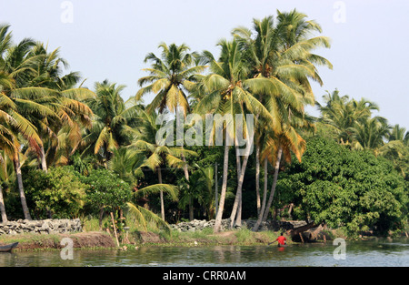 Leben auf den Backwaters von Kerala in Südindien Stockfoto