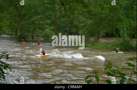 Kajak-Kanuten auf den Rivey Wye Stromschnellen während Fluss in Überschwemmung, Flut, knapp Symonds Yat. Herefordshire, England Stockfoto