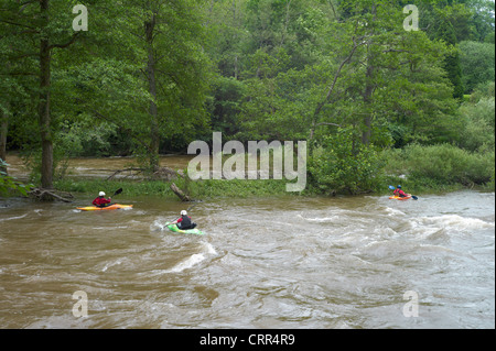 Kajak-Kanuten auf den Rivey Wye Stromschnellen während Fluss in Überschwemmung, Flut, knapp Symonds Yat. Herefordshire, England Stockfoto