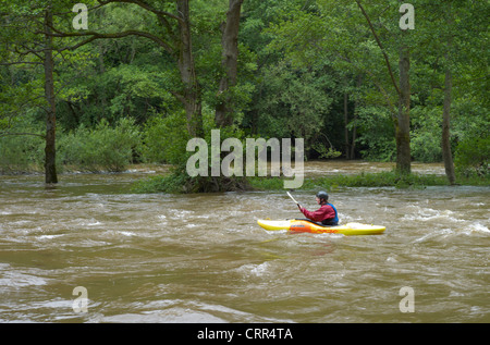 Kajak-Kanuten auf den Rivey Wye Stromschnellen während Fluss in Überschwemmung, Flut, knapp Symonds Yat. Herefordshire, England Stockfoto