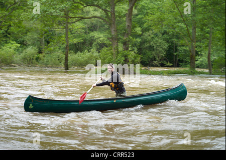 Kanadische Kanuten auf den Rivey Wye Stromschnellen während Fluss in Überschwemmung, Flut, knapp Symonds Yat. Herefordshire, England Stockfoto