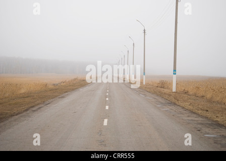 nebliger Landstraße im nördlichen Kasachstan Stockfoto