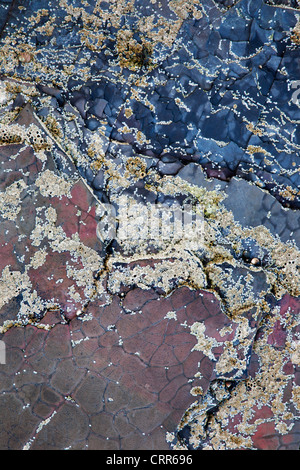 Ebbe-Rock-Detail am Strand von gegen-Bucht in der Nähe von Whitby North Yorkshire England Stockfoto